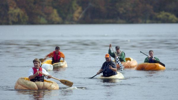 regata bostanilor caiac canoe